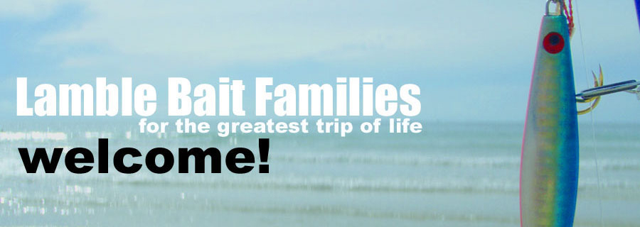 HAOLI King | Lamblebait HAOLI japan_official ランブルベイト