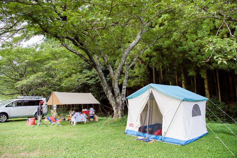 コールマンのオアシステント、ヴィンテージアイテムでサイト