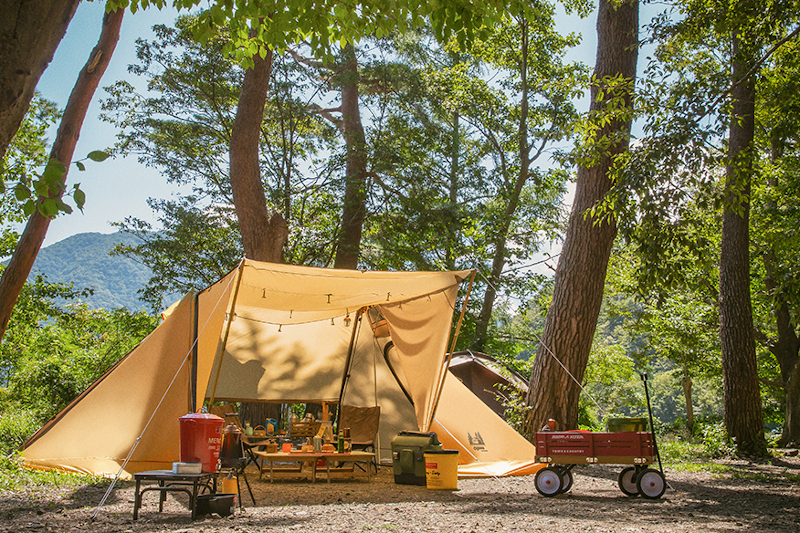 ogawa 2020年新商品まとめ】フラッグシップモデルのティエラがさらに