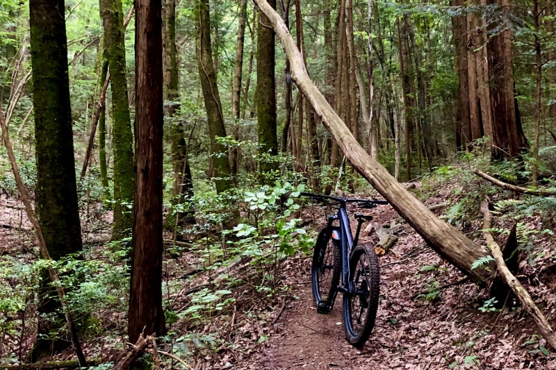 50代からのソロキャン】ソロ用キャンプギアを背負って自転車で40キロ