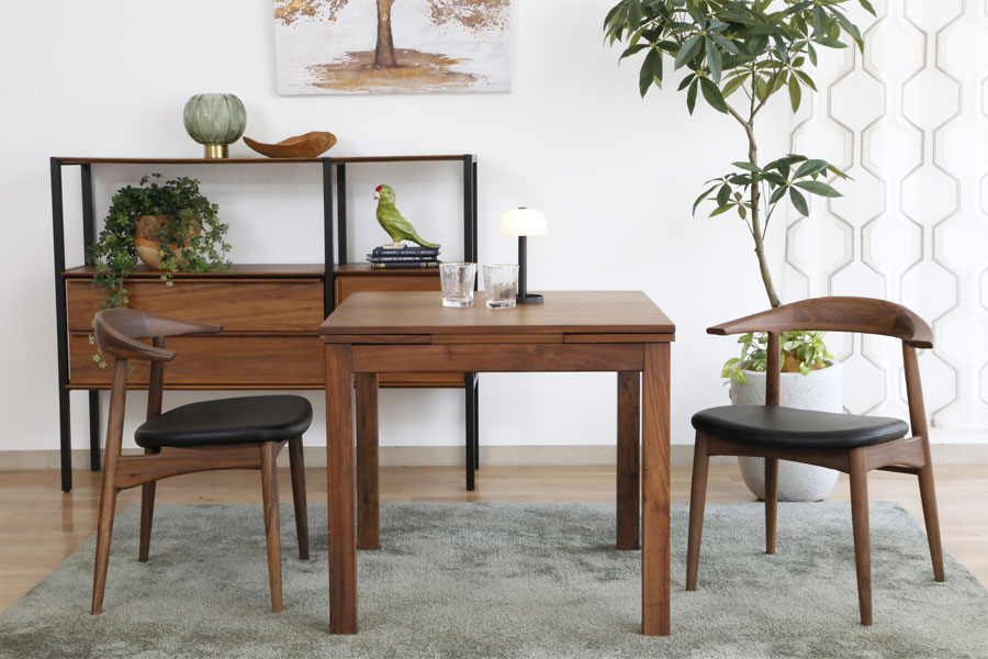 North（ノース） ダイニングチェア AC02（ウォールナット