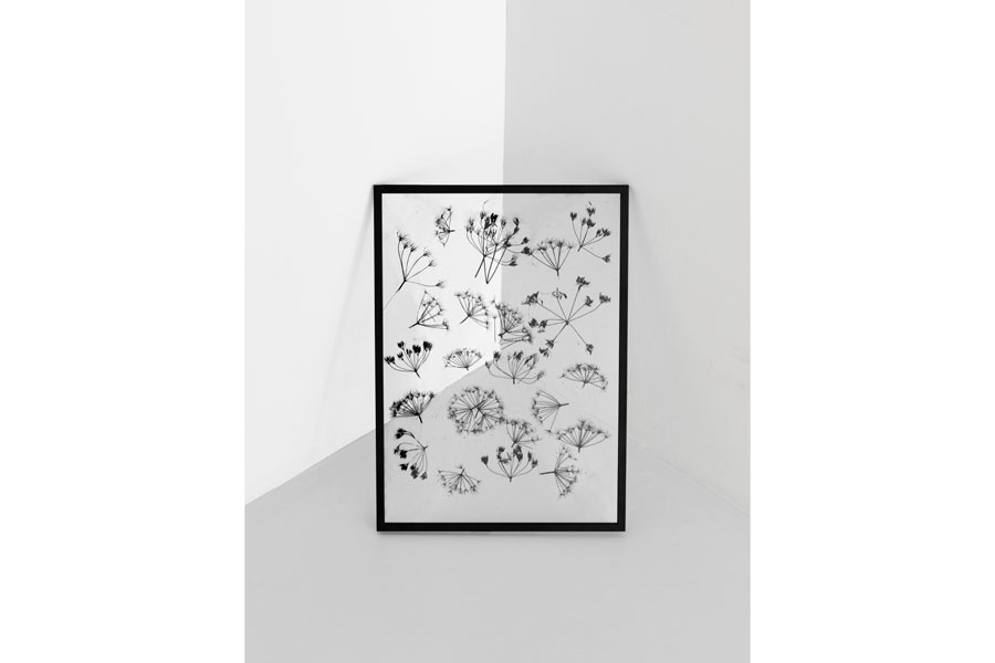 フレーム BLACK 額縁 - フォトフレーム・写真立ての通販 ｜リビング