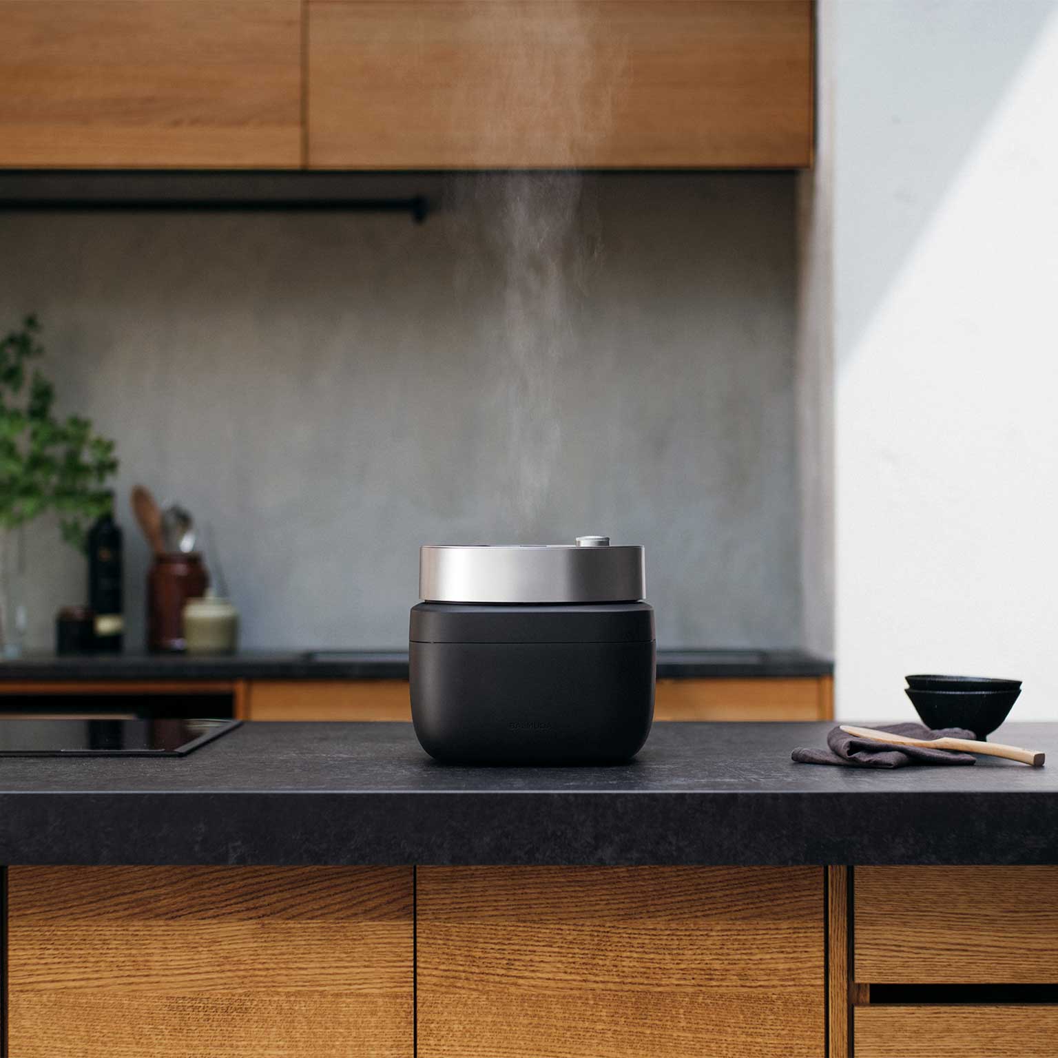 BALMUDA（バルミューダ）The Gohan | LIVING MOTIF｜家具・インテリア