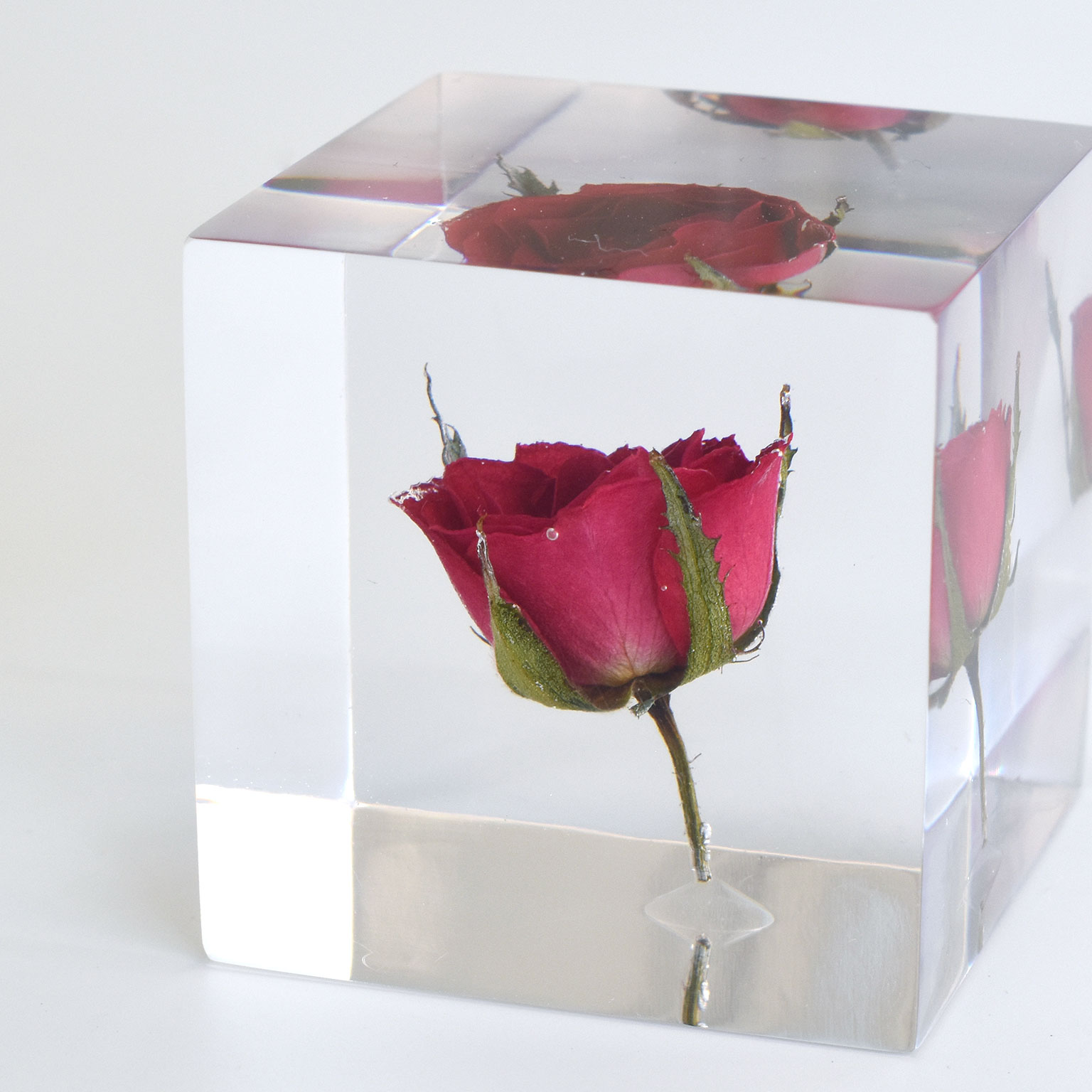 Sola cube（ソラキューブ）バラ | LIVING MOTIF｜家具・インテリア