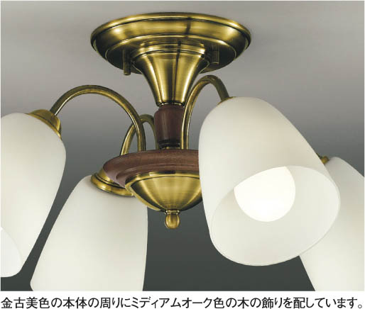 KOIZUMI 蛍光直付シャンデリア AAN585061 | 商品紹介 | 照明器具の通信