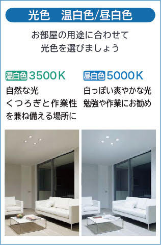 DAIKO 大光電機 ダウンライト(軒下兼用) DDL-6102WW | 商品紹介 | 照明