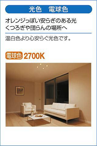 DAIKO 大光電機 ダウンライト(軒下兼用) DDL-6102YS | 商品紹介 | 照明