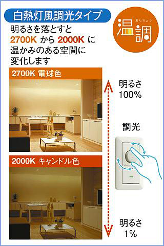 DAIKO 大光電機 間接照明用器具 DSY-5476FWG | 商品紹介 | 照明器具の