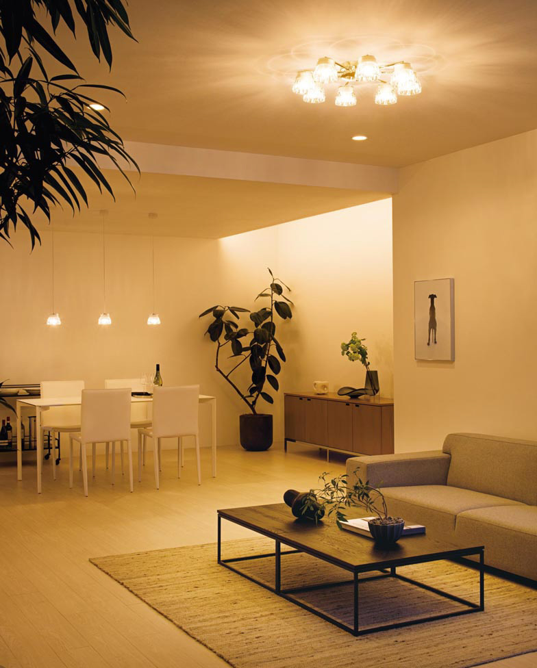 ODELIC オーデリック シャンデリア OC257138BR | 商品紹介 | 照明器具