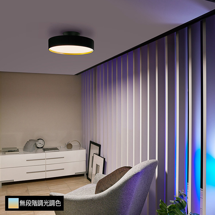 AW-0555 グロー LED シーリングランプ 〜約8畳 アートワークスタジオ