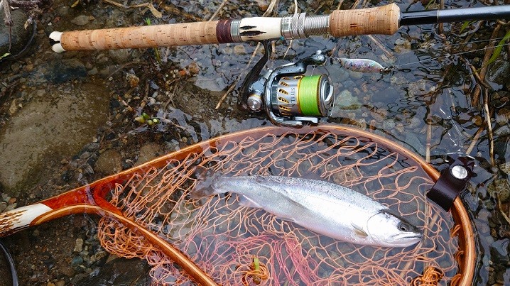 スタッグ ～ 感じるか！？ 骨伝導が伝える魚達の躍動！ ～ | ルアー