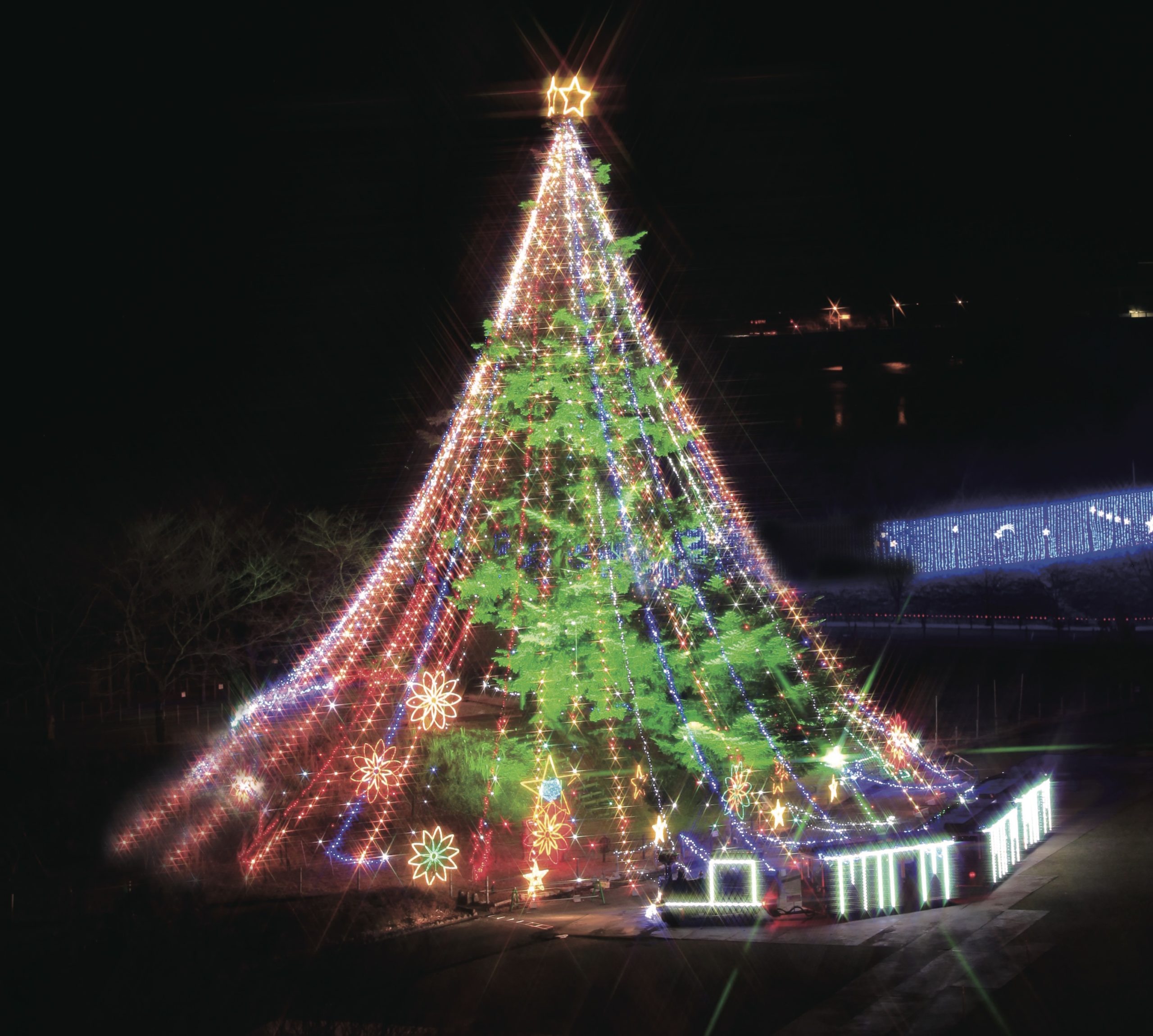 日本最大級！高さ 30m を超えるジャンボクリスマスツリーが宮ヶ瀬に