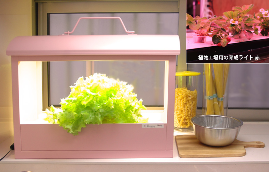 水耕栽培器Akarina05(OMA05) | おしゃれ照明器具ならMotoM