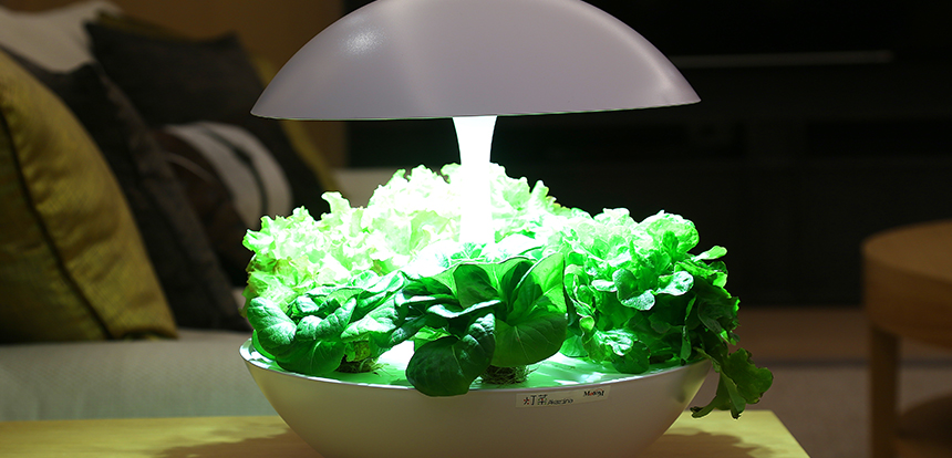 LED水耕栽培 | おしゃれなインテリア照明店 MotoM ONLINE STORE モトム