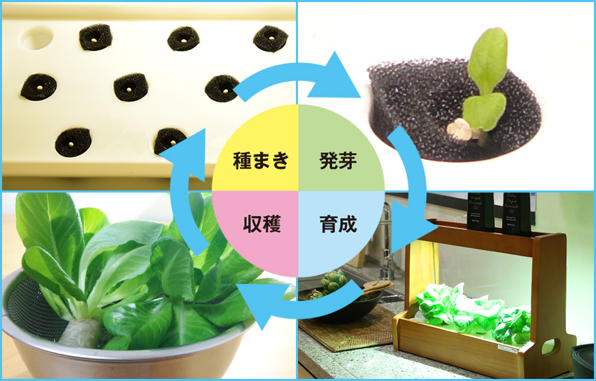 Akarina06 OMA06 | 灯菜 LED水耕栽培器 | おしゃれなインテリア照明店