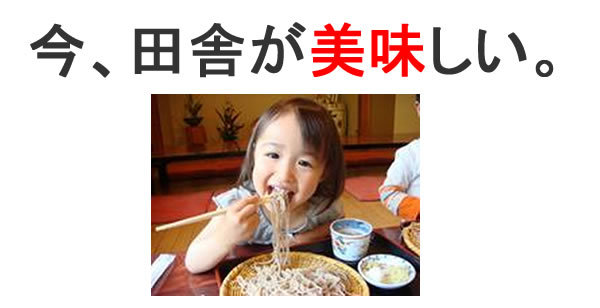 とうじそばセット4人前 石挽きそば もえぎ野｜本場信州のこだわり