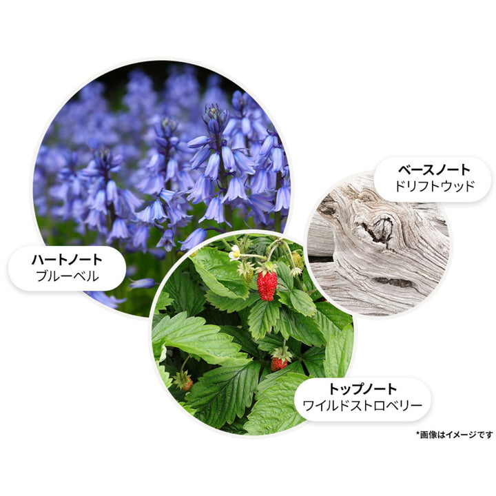 ブルーベル＆ワイルドストロベリー バス＆シャワージェル 300ml