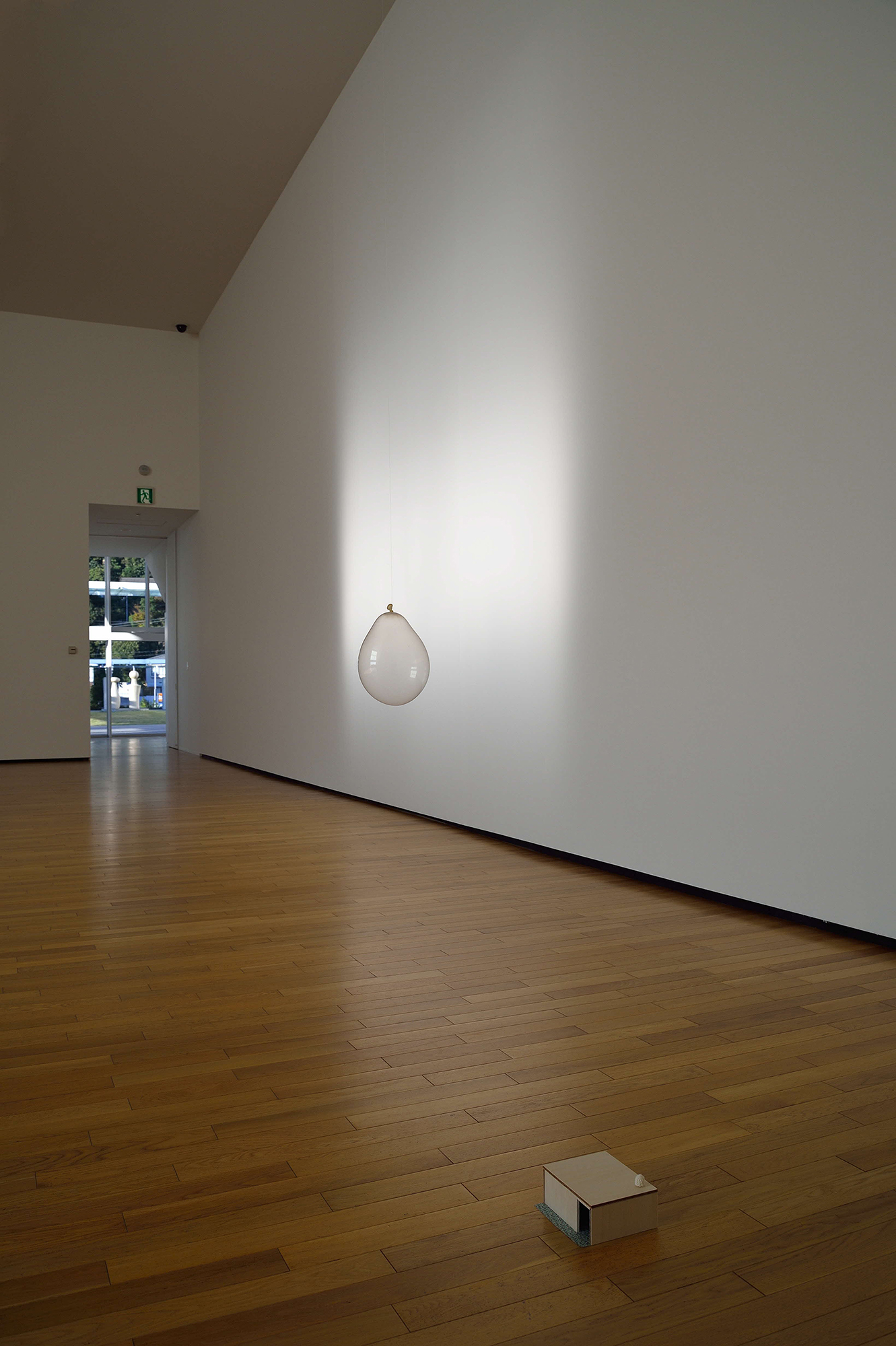 内藤 礼 すべて動物は、世界の内にちょうど水の中に水があるように存在