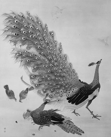 孔雀 - 東京国立近代美術館