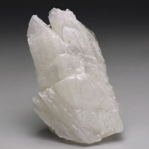 成長干渉水晶 C483 MoonMadness