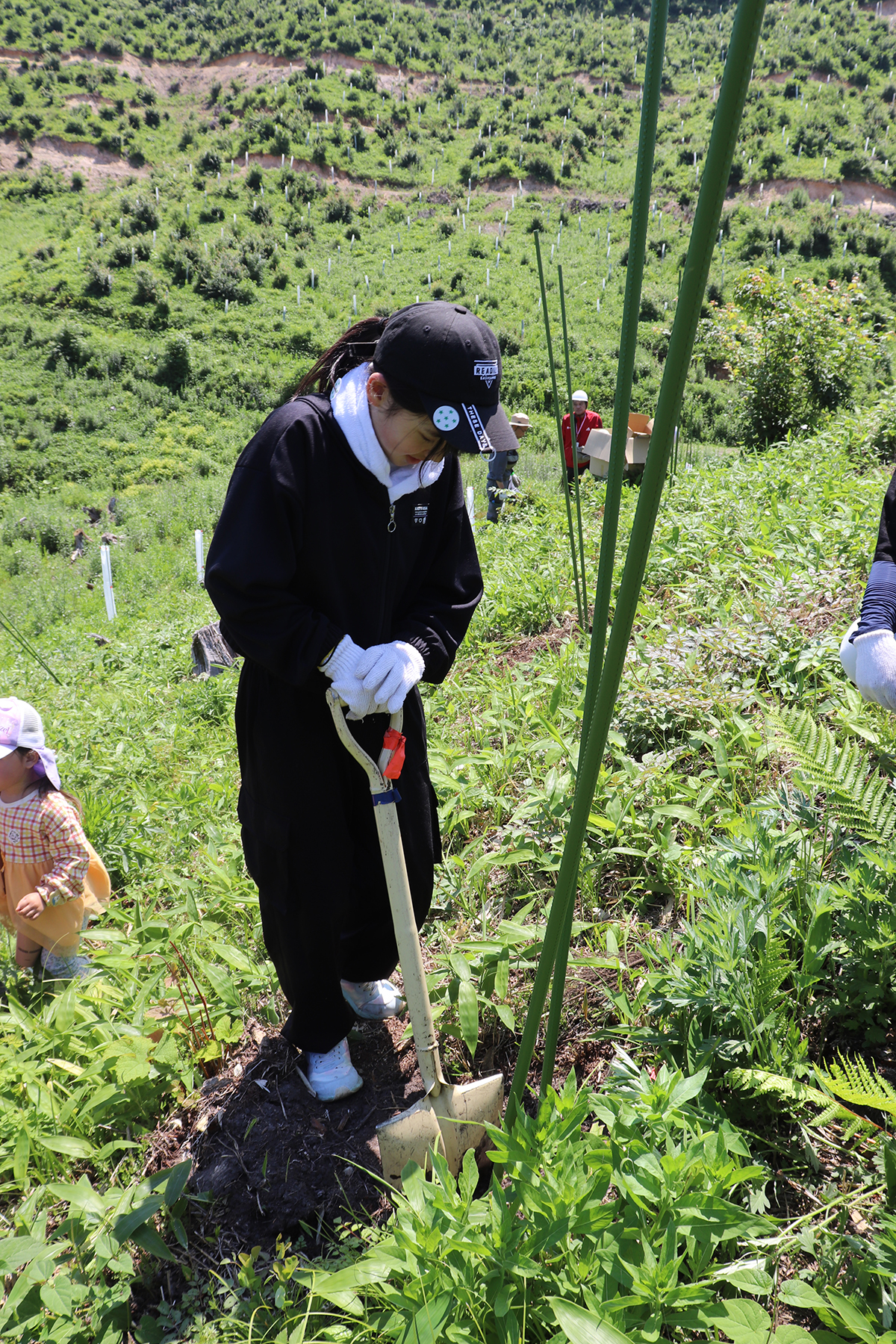 2時間で広葉樹500本。北海道足寄町の〈第一生命の森〉で3年目の植樹