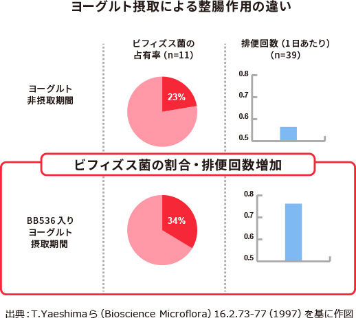 ビフィズス菌 | イノベーションストーリー | 森永乳業の研究開発