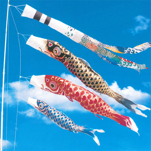 室内用 鯉のぼり 「鯉物語 尚武」 室内用 鯉のぼり 「鯉物語 尚武