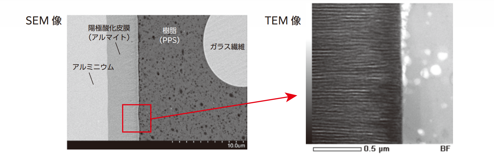 異種材料の接合界面評価
