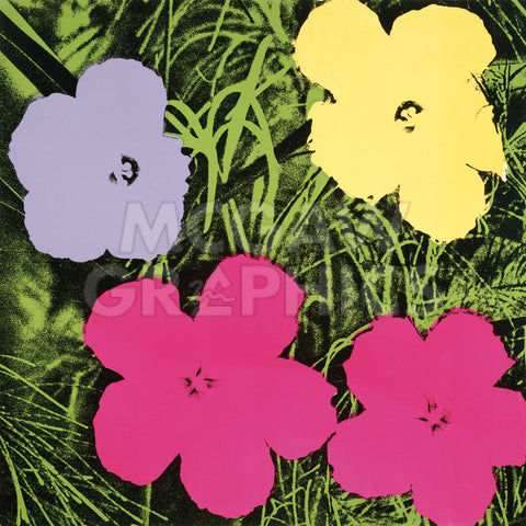 Flowers, 1970 (1 purple, 1 yellow, 2 pink) | McGaw Graphics