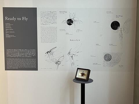 IMT東京 『プロトログ 山中俊治デザインの発生学』｜研修レポート