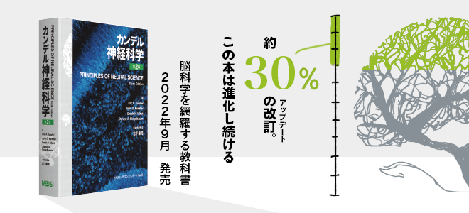 MEDSi メディカル・サイエンス・インターナショナル