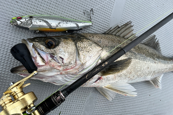 空海 CK-710EXHC 〜ビッグベイト特化型ロッド〜 | Megabass-メガバス