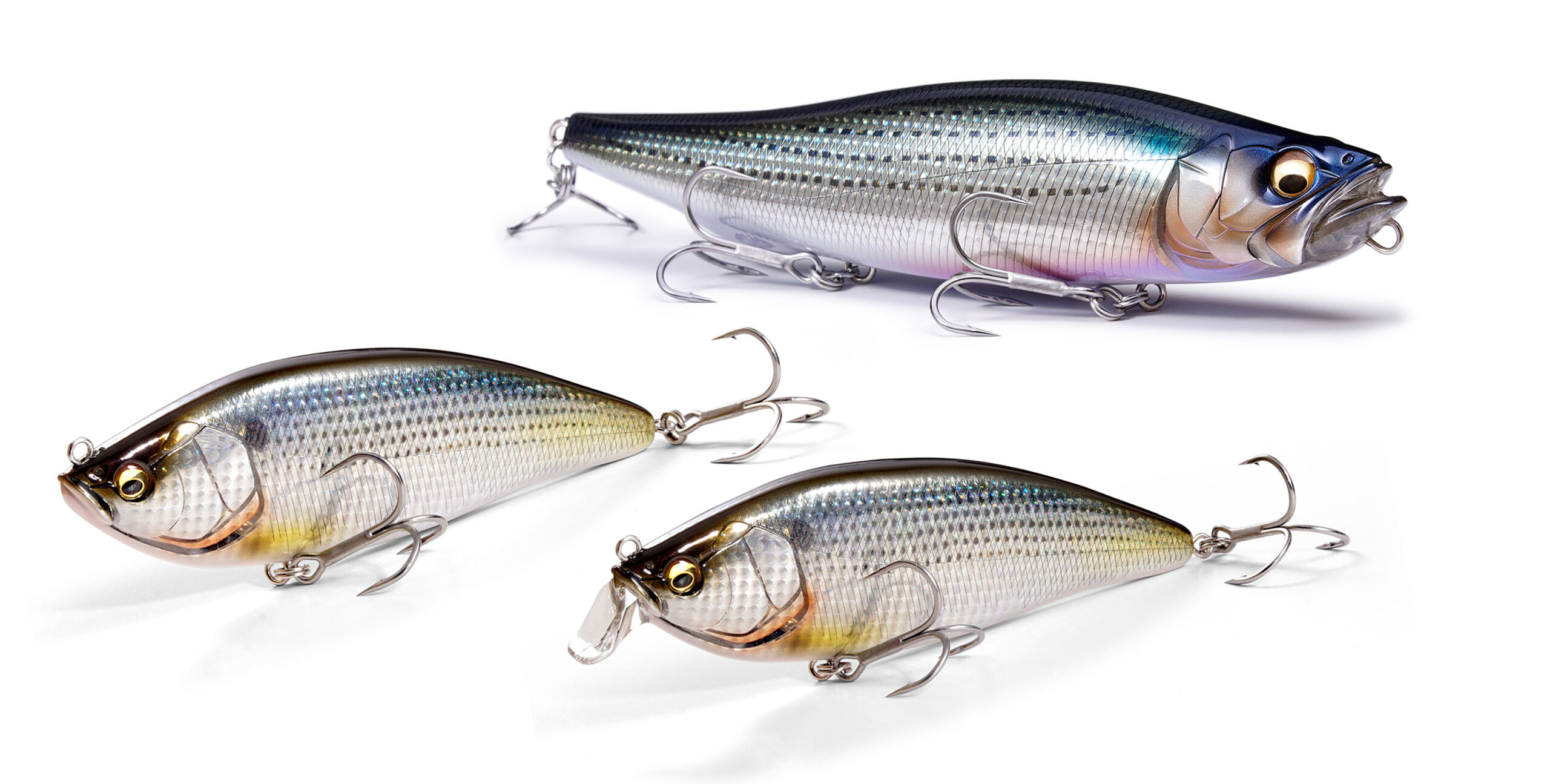 秋のコノシロパターン開幕直前 | Megabass-メガバス