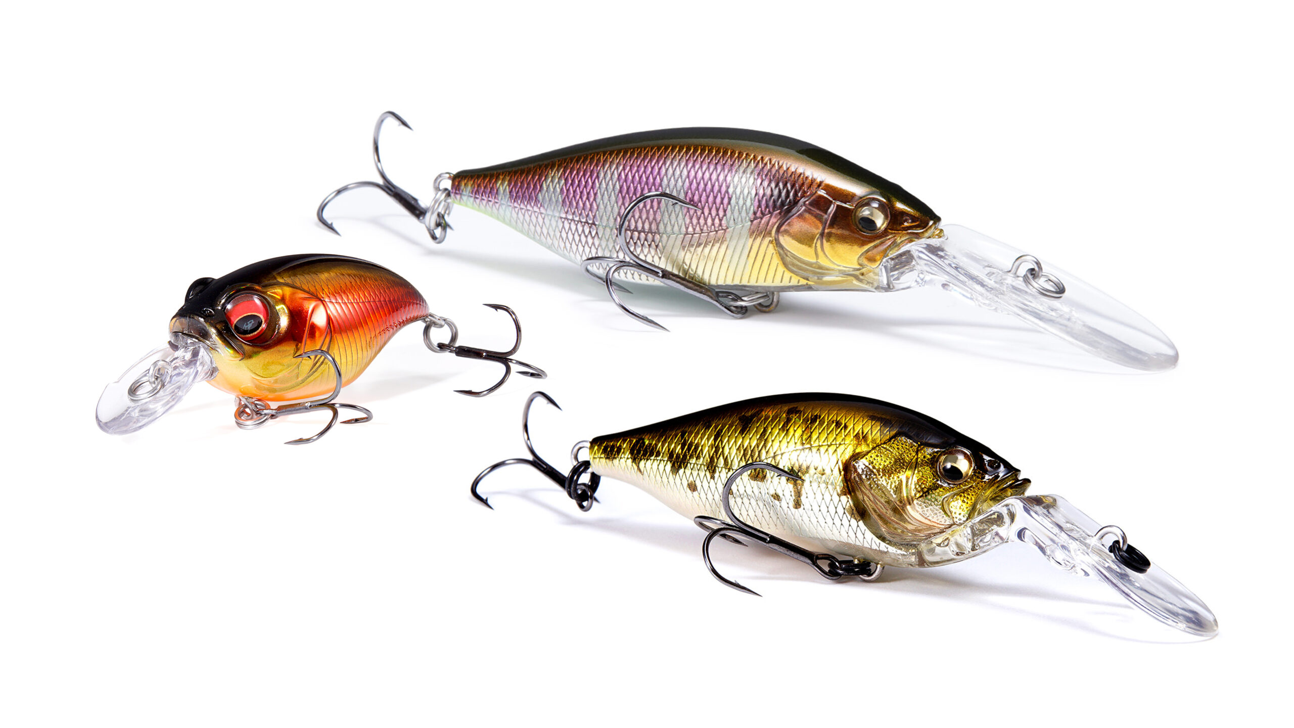 秋の巻物シーズン到来。テンポよく探る“横の釣り”で秋バスを制す