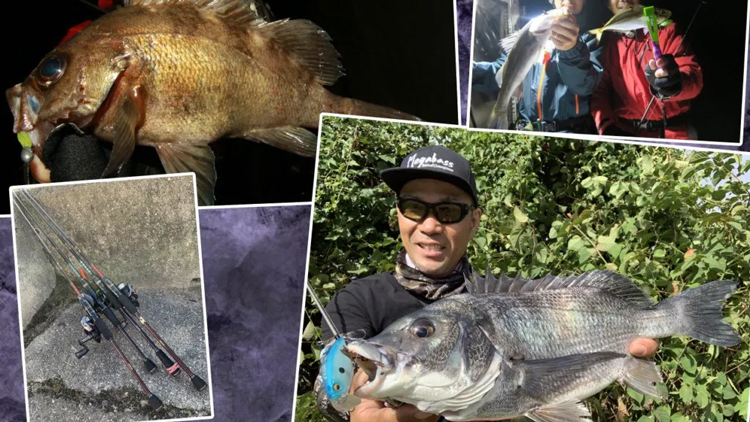 SL-75MLS | Megabass-メガバス