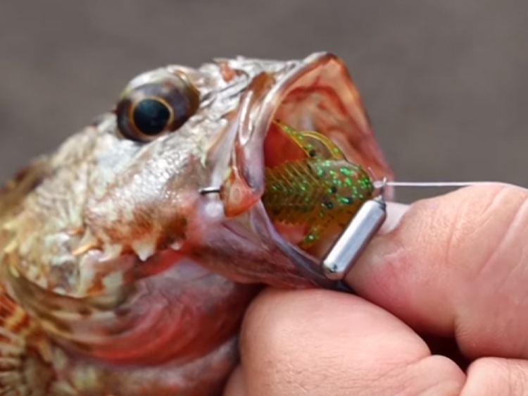 SL-510ULS | Megabass-メガバス