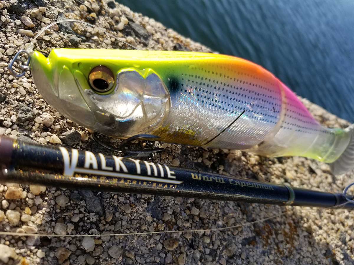 i-SLIDE262Tでシーバスゲーム！！ | Megabass-メガバス