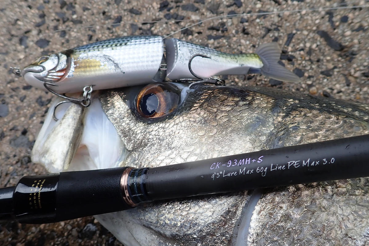 初冬のビッグシーバスゲーム | Megabass-メガバス