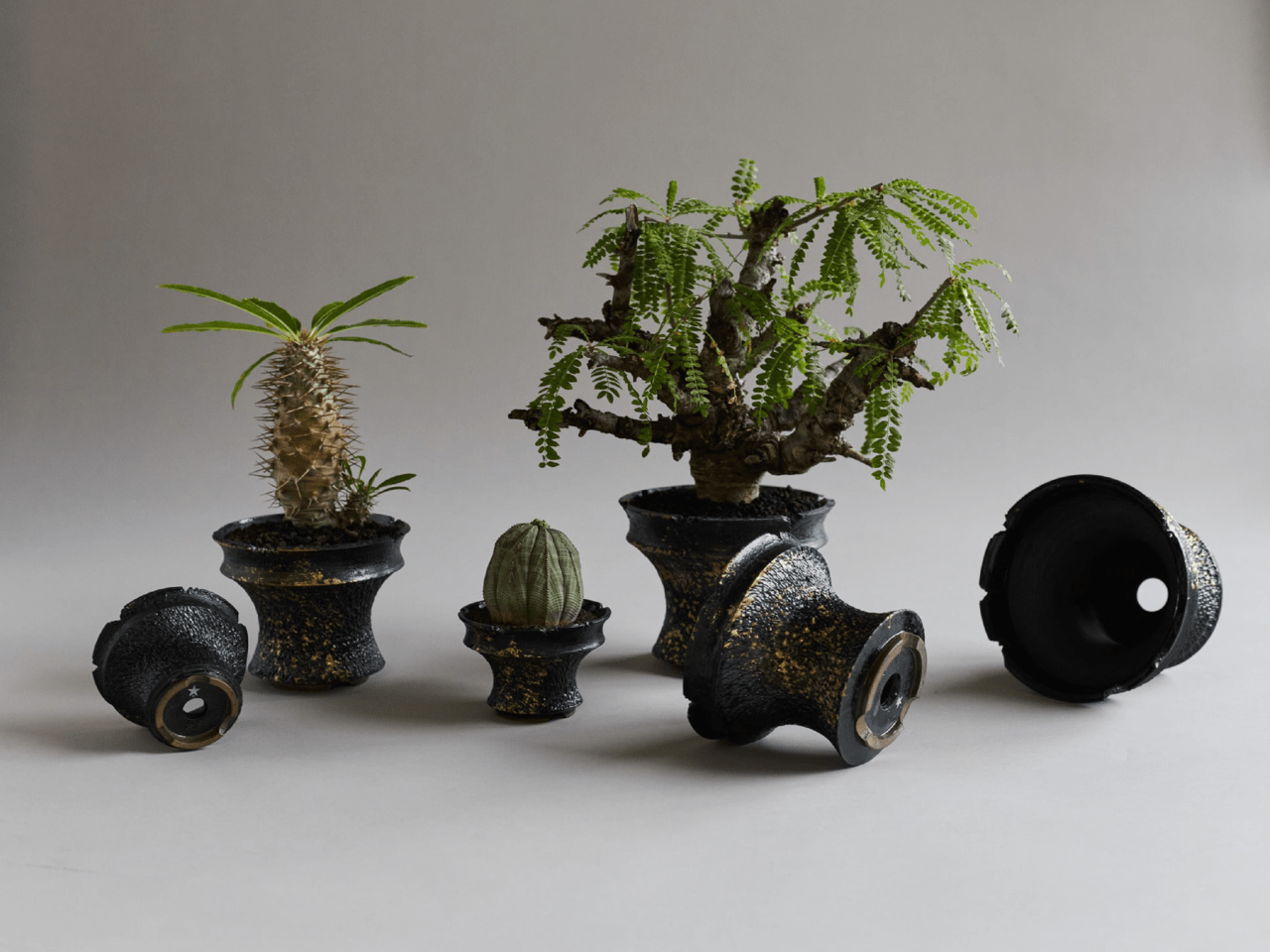 Backside works. 植木鉢 全2種