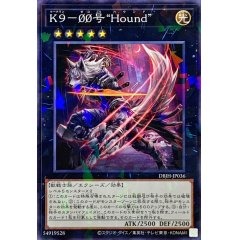 K9－00号 “Hound”/ノーマルパラレル【エクシーズ】《DBJH-JP036