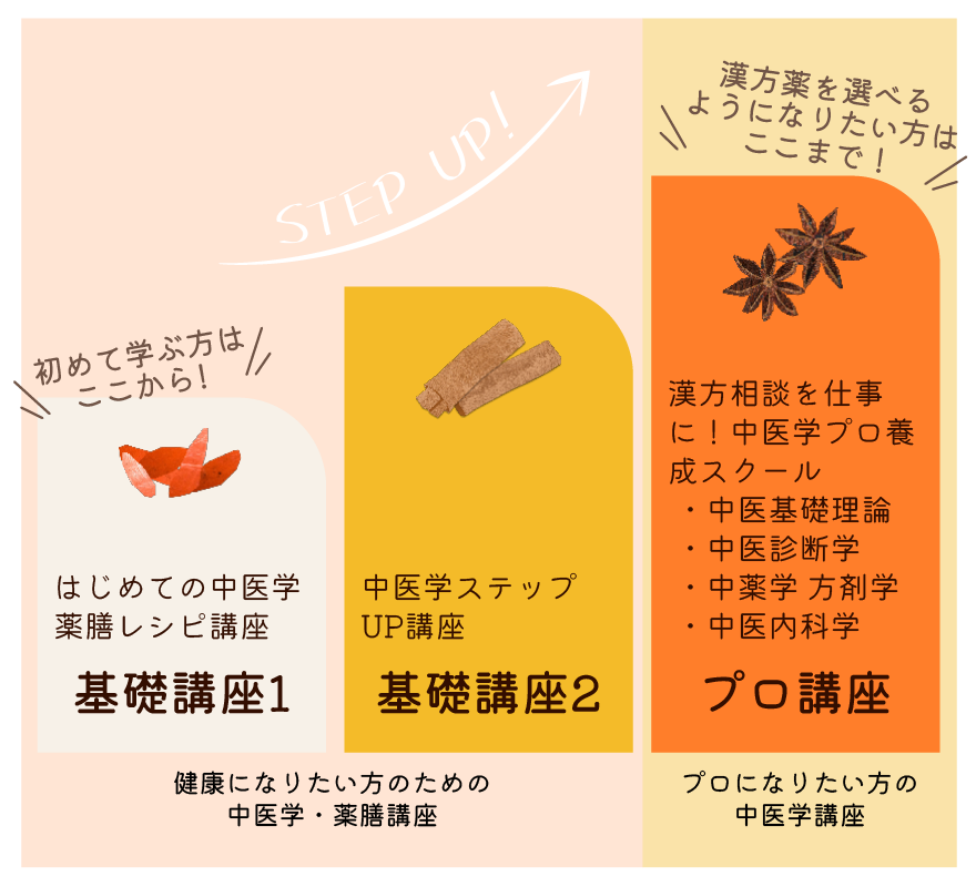 中医学を学ぶ | 札幌の漢方相談 まつもと漢方堂
