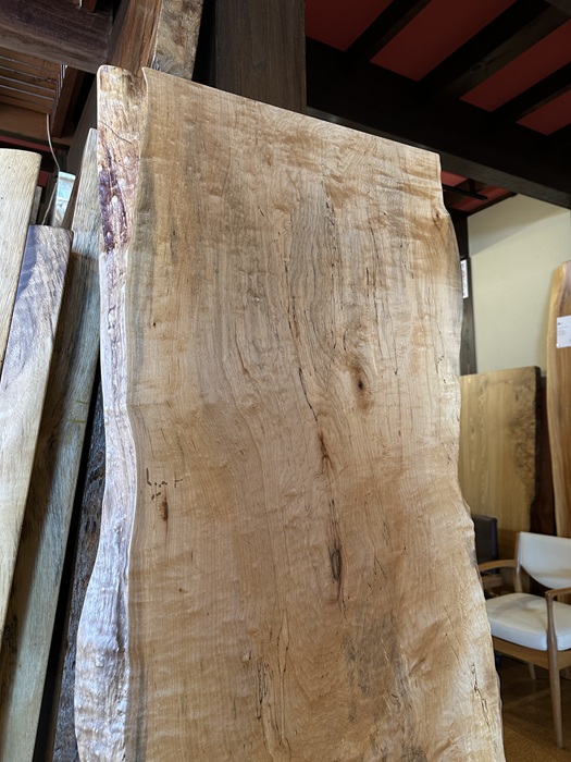 天然木 神奈川県 海老名店展示 カエデ材 一枚板 テーブル用天板 セール