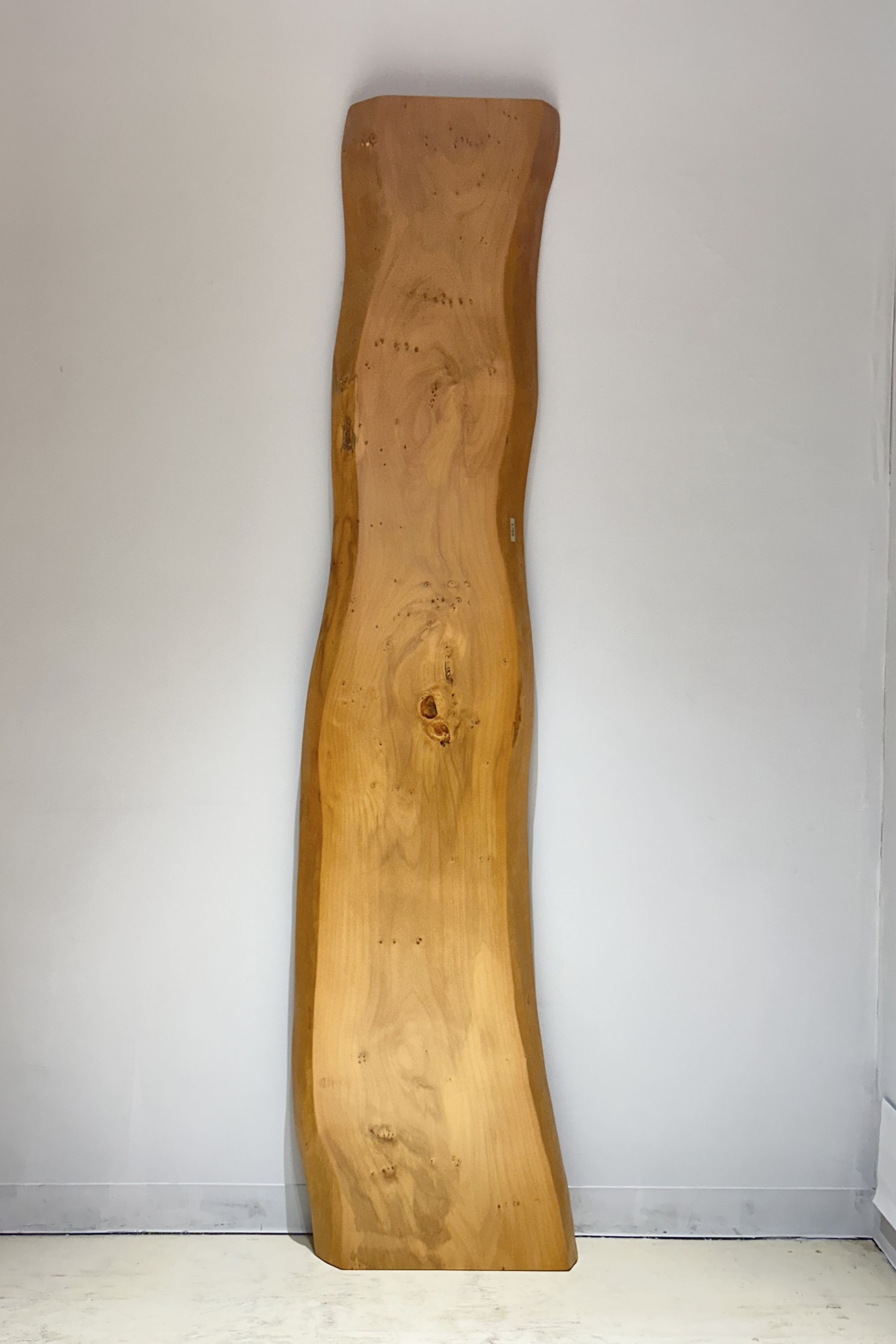 神奈川県 海老名店展示 栓（せん）材 一枚板 テーブル用天板 セール