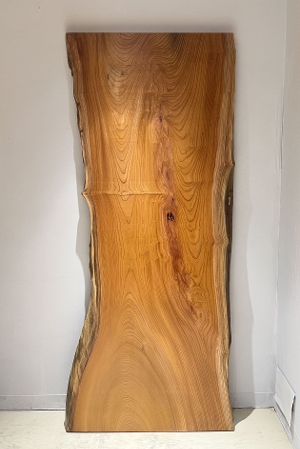 天然木 東京 新宿 東五軒町展示 モンキーポット材 一枚板 テーブル用天