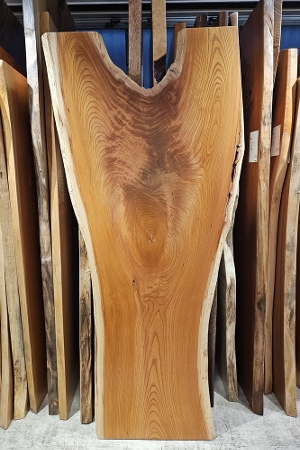 天然木 東京 新宿 東五軒町展示 モンキーポット材 一枚板 テーブル用天