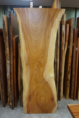 天然木 東京 新宿 東五軒町展示 モンキーポット材 一枚板 テーブル用天