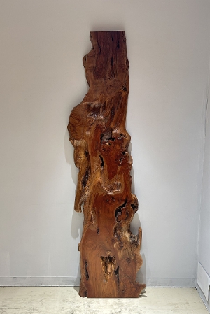 天然木 東京 新宿 東五軒町店展示 欅（けやき・ケヤキ）材 一枚板