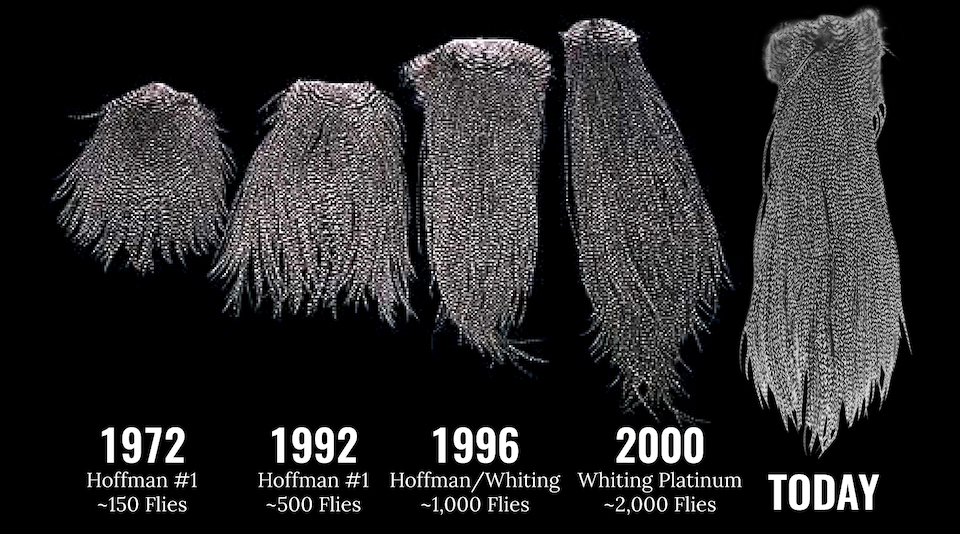 Whitingについて | マーヴェリック / Maverick