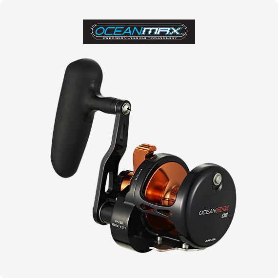 Reels Sealion Series Sealion Two Speed Series