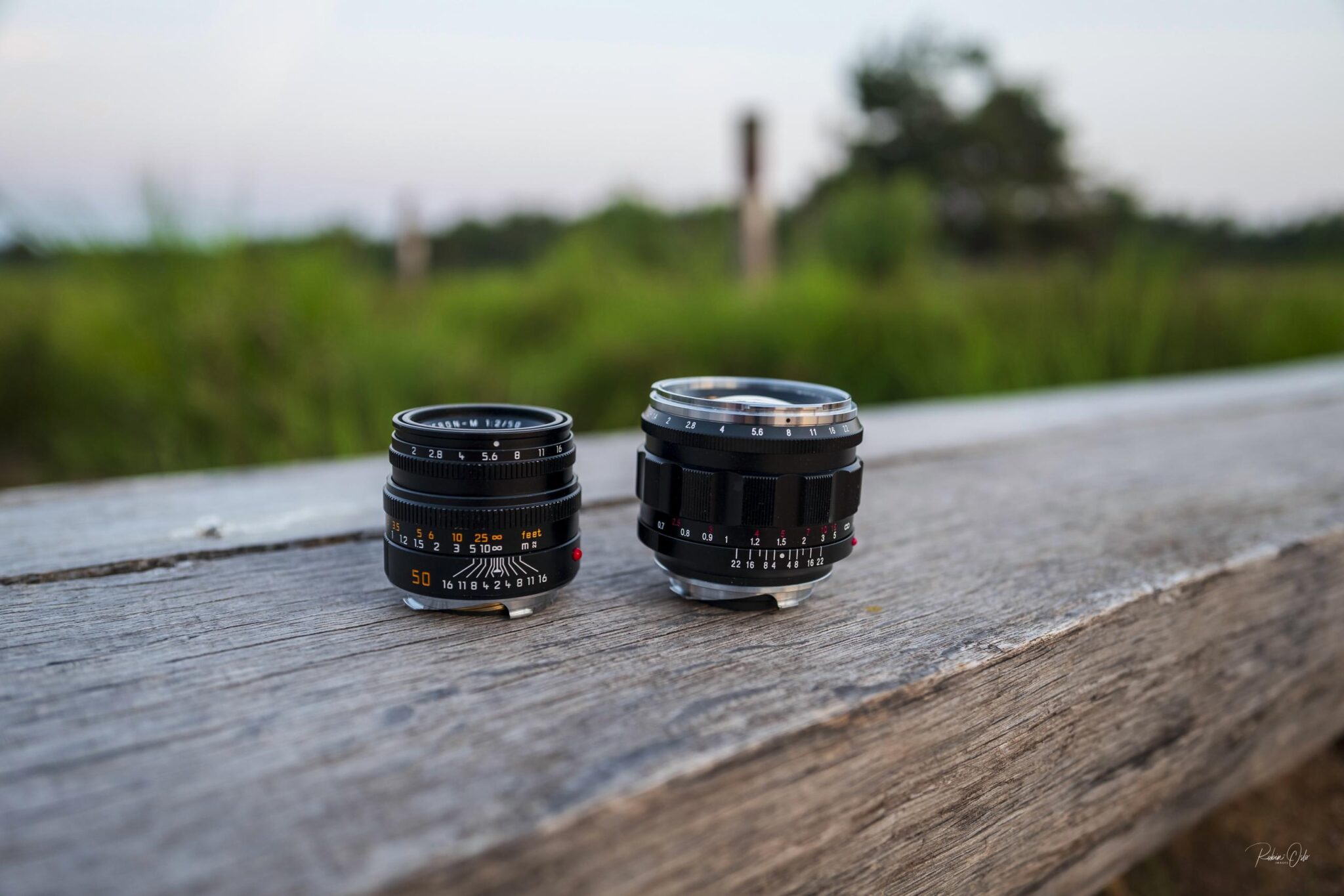 The Voigtländer 50mm f/1.2 Nokton reviewed